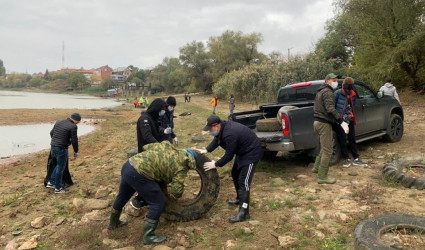 В Краснодаре экоактивисты очистили берег Кубани от трех тонн мусора
