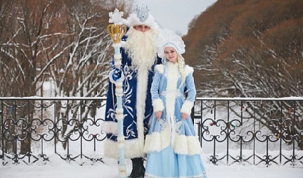 С наступающими Новым Годом и Рождеством!