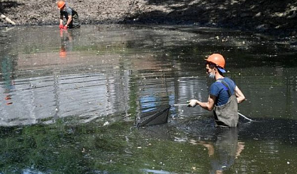 Природа Москвы и Подмосковья стала чище благодаря акции «Вода России»