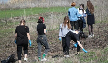 Волгодонск занимается уборками берегов поквартально