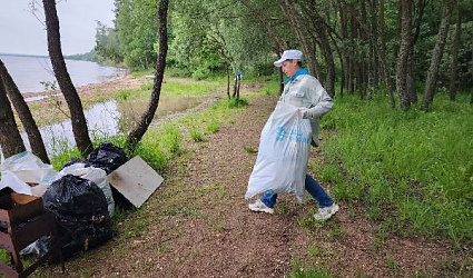 Волонтеры «Воды России» чистят берега рек Подмосковья (ВИДЕО)