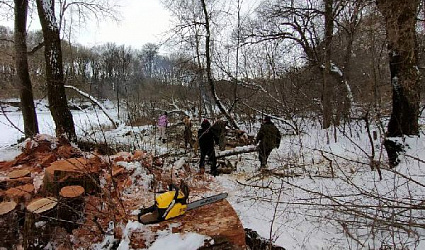 Курские спортсмены убрали валежник с берегов Сейма