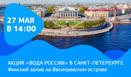 День города в Петербурге отметят чисткой берега Финского залива