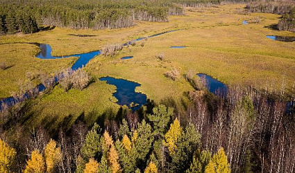 «Вода России» поздравляет с Днем водно-болотных угодий