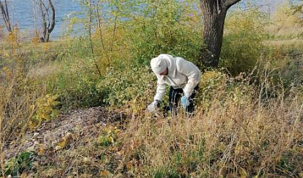 С мая по ноябрь сотрудники центра «Семья» из города Балаково ежемесячно проводили экосубботники в 2021 году