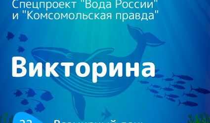 Проверьте свои знания об экологическом волонтерстве в викторине КП и «Вода России»