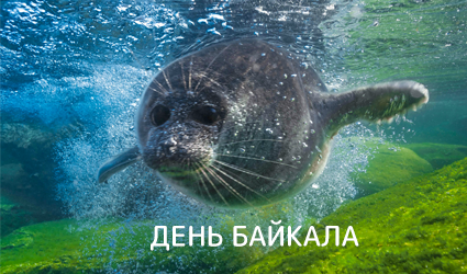 День Байкала в 2021 году будет праздноваться с особым размахом