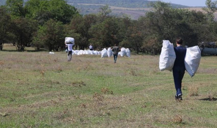 Карта мероприятий с 12 по 18 октября