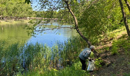 Подарок городу сделали ко Дню эколога курганские экоактивисты