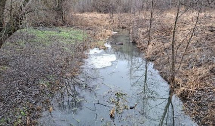 На реке Вобля пройдет акция «Вода России»