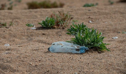 Невидимый и опасный: все о микропластике в новом подкасте «Воды России»