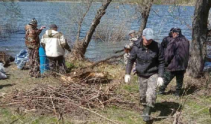 Старые деревья и сорная трава были убраны с берегов сельского пруда экоактивистами в Белгородской области