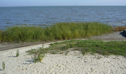 Спасатели Таганрога навели порядок на берегу Азовского моря