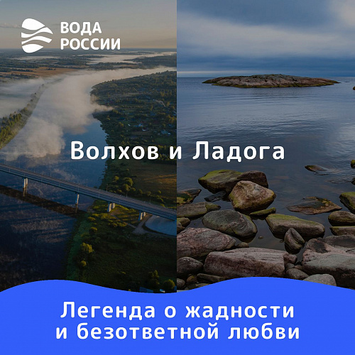 Берег добрых дел