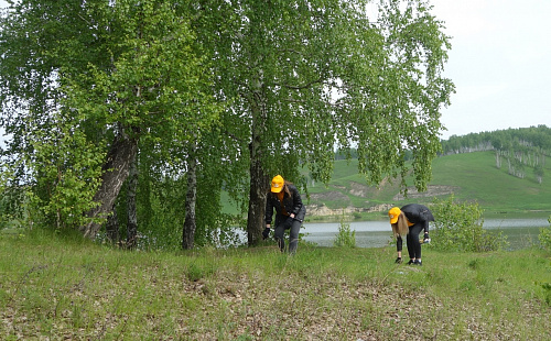NovostiBorodino
