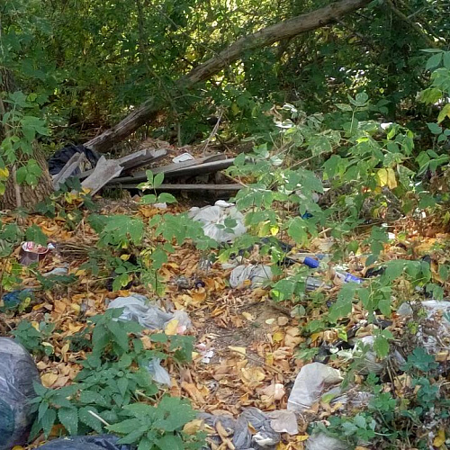 Марафон «Чистый Дон» на реке Латрык