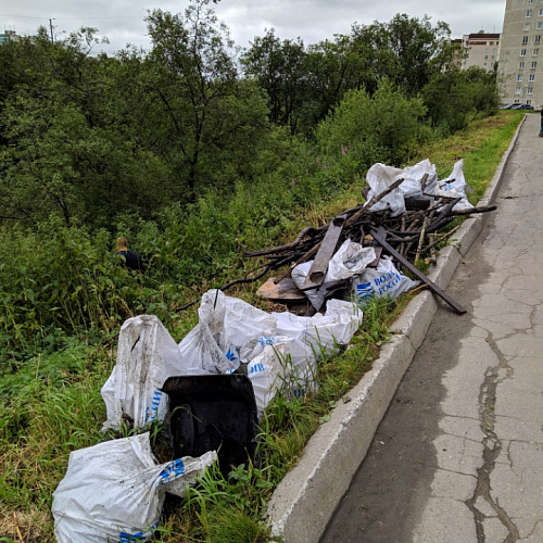 Марафон "Чистые берега" в Мурманской области