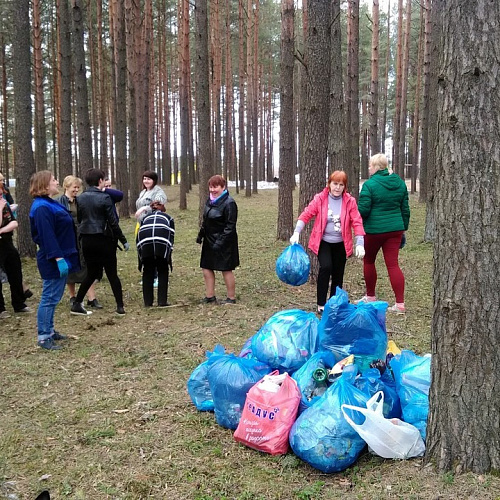 Марафон "Чистые берега" в Вологодской области