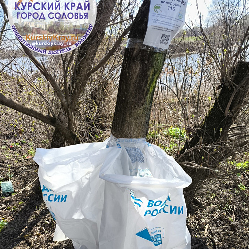 Курск, река Сейм, 12.04.2025