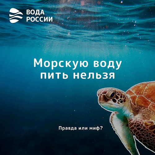 Можно ли ее пить из-под крана и какая вода опасна для жизни?