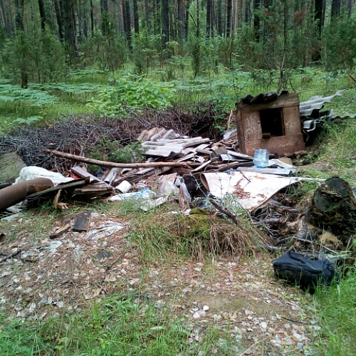 Марафон "Чистые берега" в Рязанской области