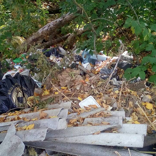 Марафон «Чистый Дон» на реке Латрык