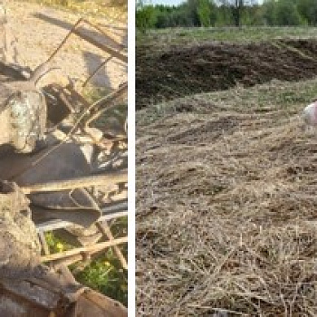 Металлическая и розовая лошадки