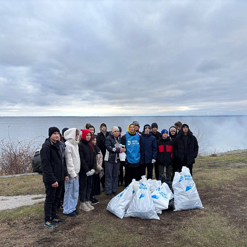 село  Новодевичье, река  Волга, 12.11.2024
