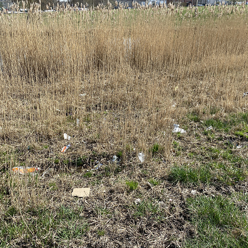 санкт-петербург, Река Ивановка, 20.04.2025