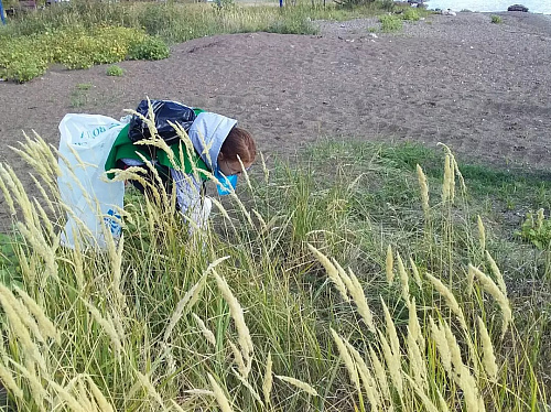 БУДЕТ ЧИСТО В МЕНДЕЛЕЕВСКЕ
